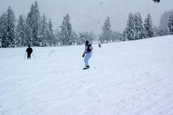 Alta Val Badia (146), Chiara R (43), Sci Alpino (290)